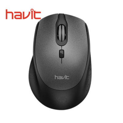 Rexmoo HAVIT HV-MS56GT Wireless Optical Mouse (1)