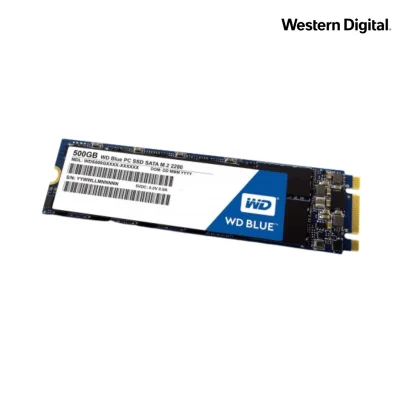 Rexmoo Western Digital Blue 500GB SATA III M.2 2280 SSD