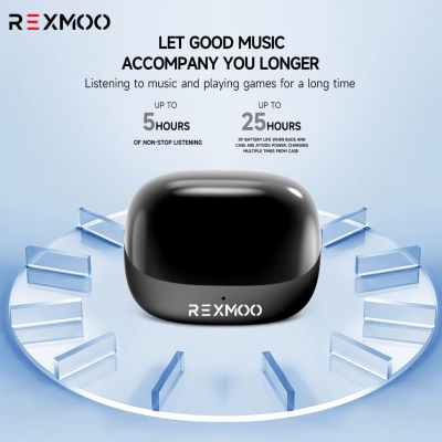 Rexmoo BH10 TWS wireless earphone (2)